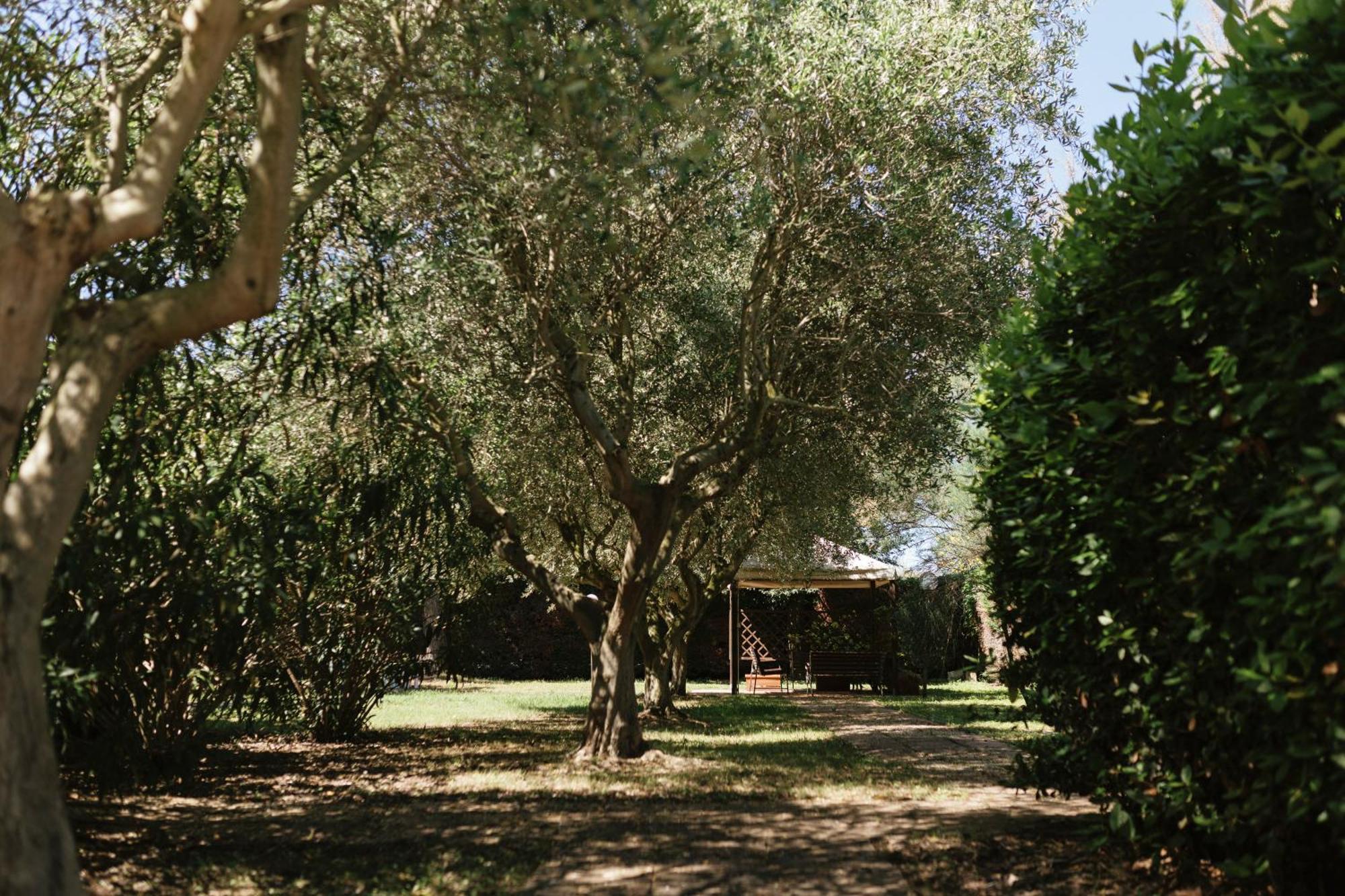 Villa Chiara Porto Recanati Exterior photo